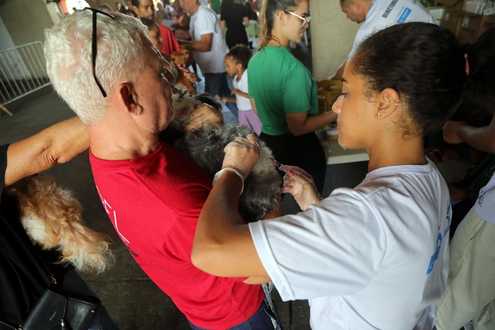  Cajazeiras recebe mutirão de vacina V10 gratuita para cães na próxima terça (5)