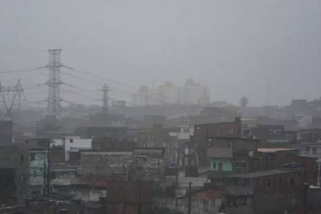  População deve ficar alerta ao aparecimento de animais silvestres e peçonhentos durante período chuvoso