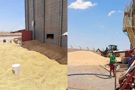  Trabalhador morre após cair e ser soterrado em silo de farelo de soja no oeste da Bahia