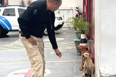  Homem é preso por usar cães para intimidar moradores no bairro da Graça, em Salvador