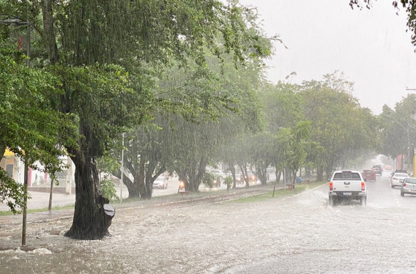  Bahia dispara alerta de chuva pelo WhatsApp; 344 municípios estão em risco