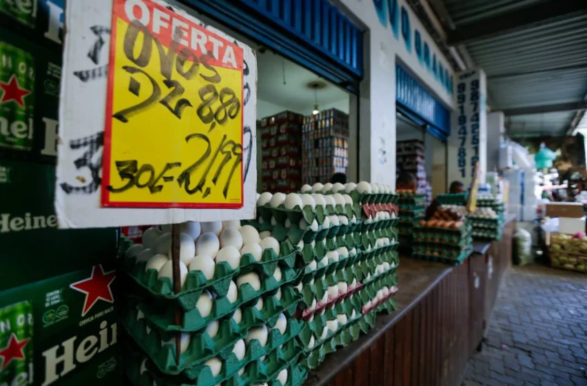  Placa por até R$ 35: Por que o ovo está mais caro em Salvador?