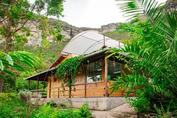  Justiça autoriza cultivo de Cannabis medicinal na Chapada Diamantina