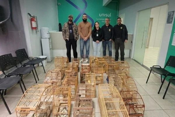  Mais de 20 aves silvestres são encontradas em cativeiro com sinais de maus-tratos