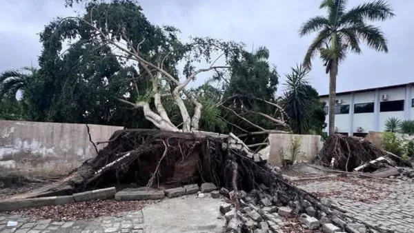  Cidade baiana decreta emergência após vendaval