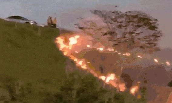  Homem acende fogos de artifício e causa incêndio em área de dez mil metros na Bahia